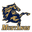 Mustangs logo