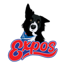 Expos logo