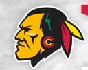 Blackhawks logo
