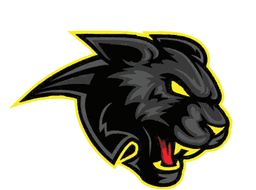 Panthers logo