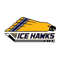 ICE HAWKS 14 logo