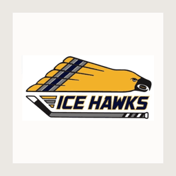 Ice Hawks 18A logo