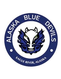 BLUE DEVILS 14 logo