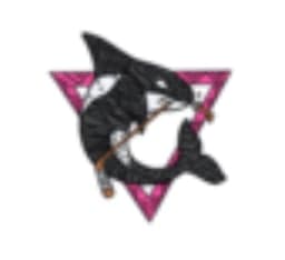 PREDATORS 10B GIRLS logo
