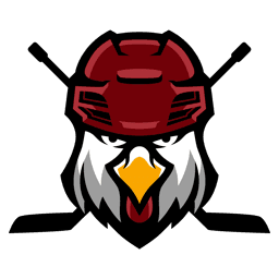 University of South Carolina logo