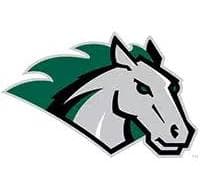 Stevenson University logo