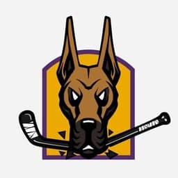 University at Albany logo