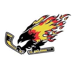 Chaparral Firebirds D1 logo