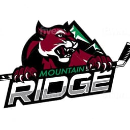Mountain Ridge Mountain Lions D3 logo