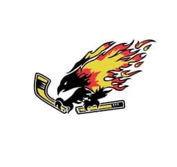 Chaparral Firebirds D3 logo