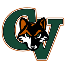 Campo Verde Coyotes JV logo