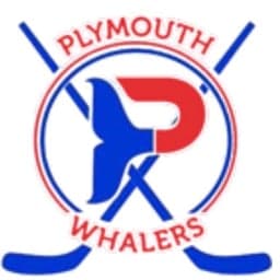 Plymouth Blue logo