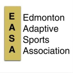 EASA Storm logo