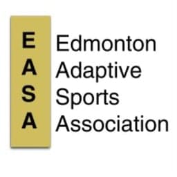 EASA Storm logo