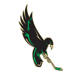 Wilmington Nighthawks logo