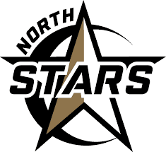 North Stars Squirt Gray logo