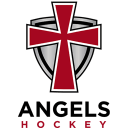 Fargo Angels Peewee B logo