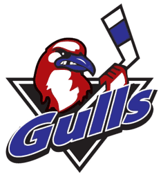 Long Island Gulls logo