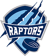 Raleigh Raptors - 10U Gold 1 logo