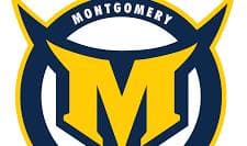 Montgomery Ice Devils Gold - 14U Silver 2 logo