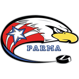 Parma Flyers 10u AA logo
