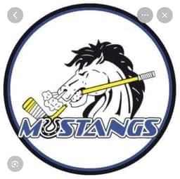 Mid State Mustangs 10U AA logo
