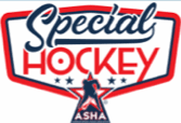 Team Special Hockey logo