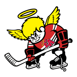 Denver Hockey Varsity logo