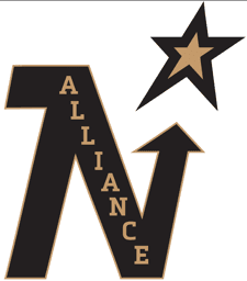 Northern Alliance JV Gold logo