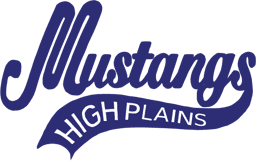 Mustangs Varsity White logo