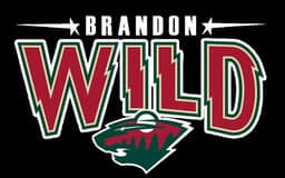 Jamieson Construction Wild logo