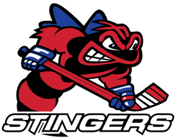Reach Eaves Cleaning STINGERS logo