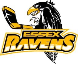 Essex Ravens Sky Blue U13 logo