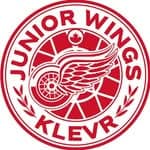 2020 Jr Wings HC Tier 1 logo