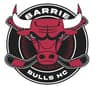 2020 Jr. Barrie Bulls Tier 2 logo
