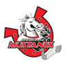 2019 Durham Mustangs Tier 2 logo