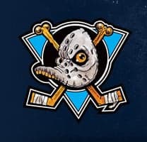 2017 Dufferin Ducks White logo