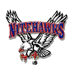 Beaver Valley Nitehawks logo