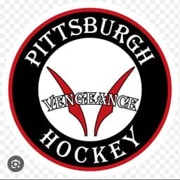 Pittsburgh Vengance logo