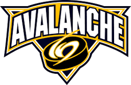 North Jersey Avalanche 18U logo