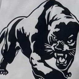 2018 Hartland Junior Pumas (Black) logo