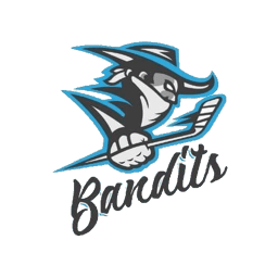 2018 Vehicle City Bandits logo
