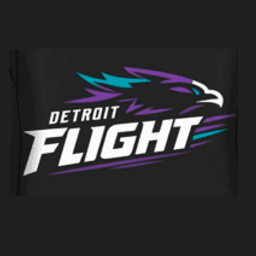 2019 Detroit Flight logo