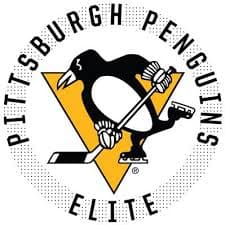 2011 Pittsburgh Penn Elite logo