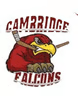 Cambridge Falcons U18 logo