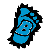 Binghamton Freeze logo