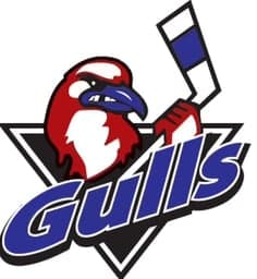 LI Gulls 2016 logo