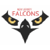 New Jersey Falcons logo