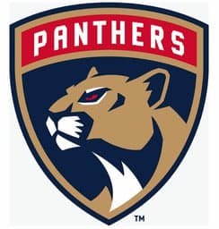 14U / 16U / 18U Panthers logo