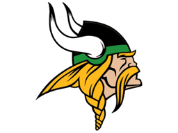U13 Naicam logo